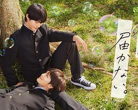 tickle双乳美女一丨vk